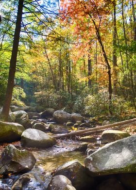 Fall at the Gap