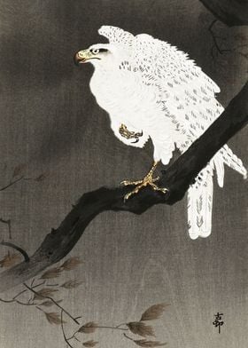 Eagle on Tree Woodblock