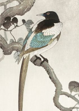 Magpie on Tree Woodblock