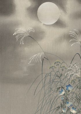 Meadow at full Moon Print