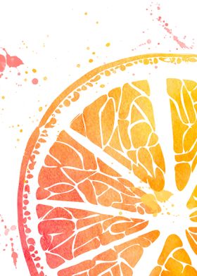 watercolour orange fruit