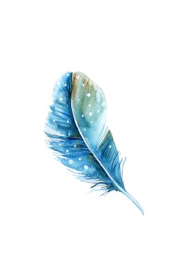 Feather