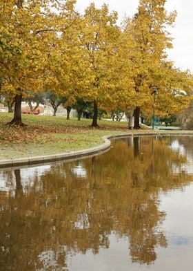 Mirror mirror on the water