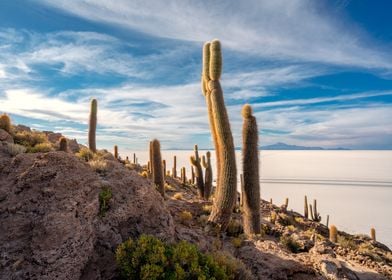 Salt Flats Bolivia