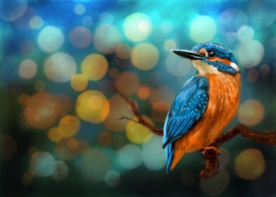 king fisher