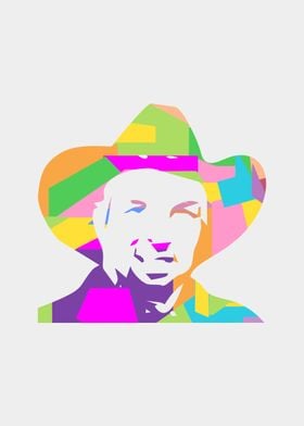 Garth Brooks Pop Art