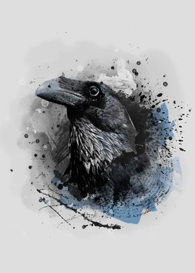 Crow bird art