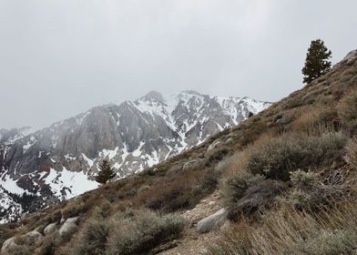 Misty Sierras