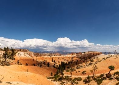 Bryce Canyon landscape