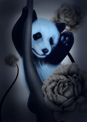 Baby panda