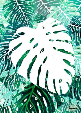 WHITE MONSTERA