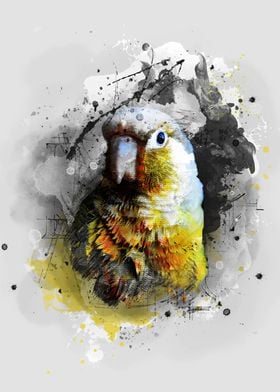 bird parrot art