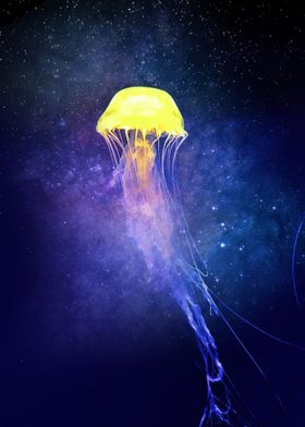 Jellyfish