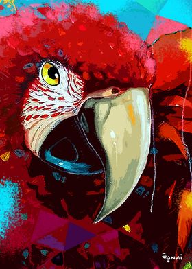 SCARLET MACAW