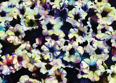 Abstract Petunia Flowers