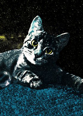 UNIVERSE CAT