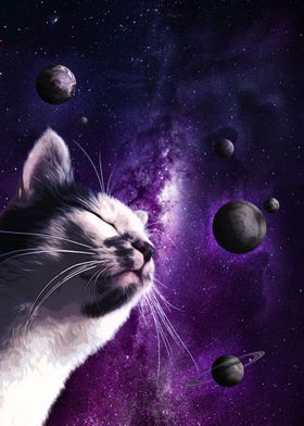 Cat Feeling The Cosmos