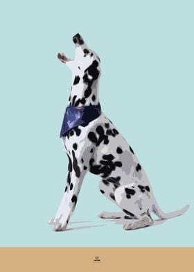 Dalmatian Dog