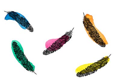 colourful feathers 
