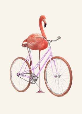 Flamingo Bike