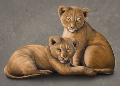Young lion whelps resting