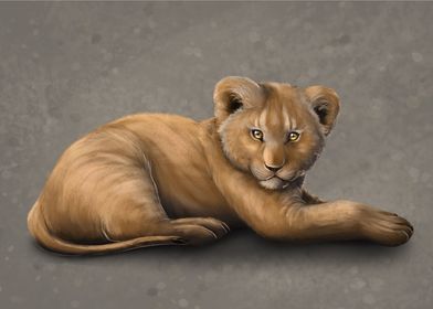 African lion cub