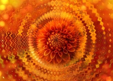 Abstract Orange Dahlia