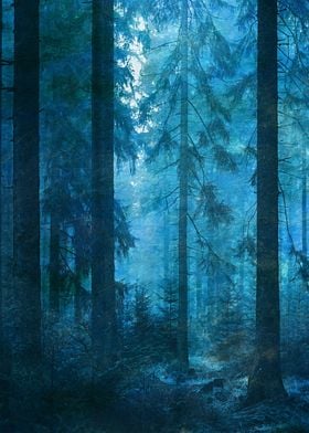Blue Forest 2