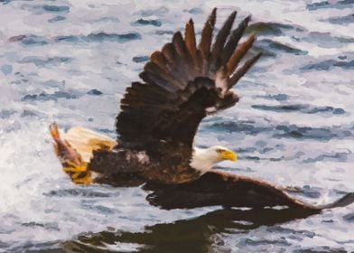 American Bald Eagle