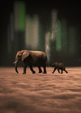 Elephants Pass