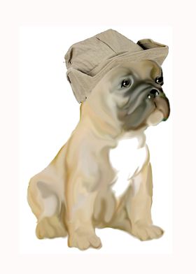 French Bulldog  in Hat