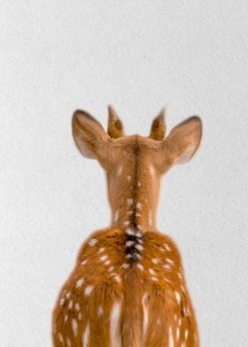 deer back view 