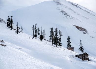 Snowy Winter Landscape