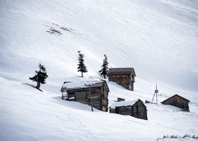 Snowy Winter Landscape