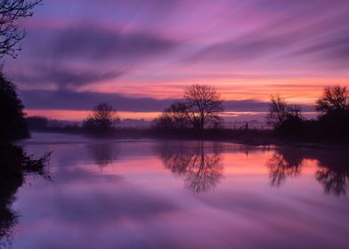 Purple Sunrise