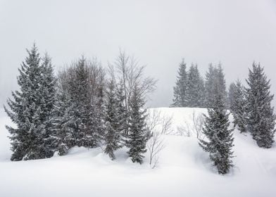 Snowy Winter Landscape