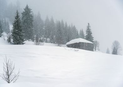 Snowy Winter Landscape