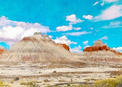 Petrified Forest