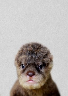 cute baby otter