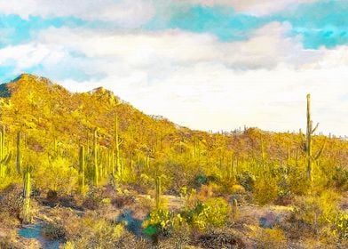 Saguaro National Park