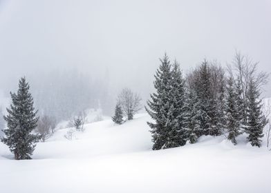 Snowy Winter Landscape