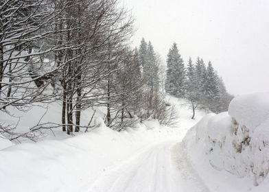 Winter landscape