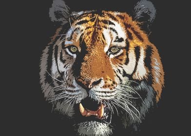 tiger face