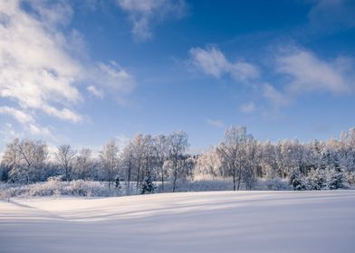 Beauty of winter 