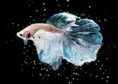 Pastels Fighting Fish