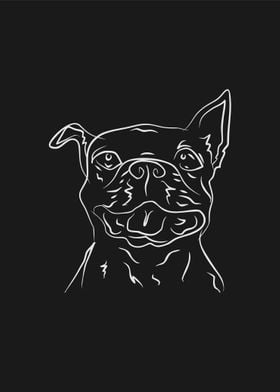 Dog 4d Grey Line