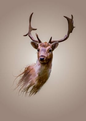 Deer Artwork 