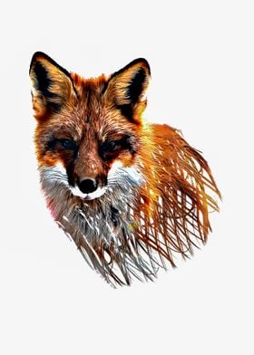 Fox Artwork 