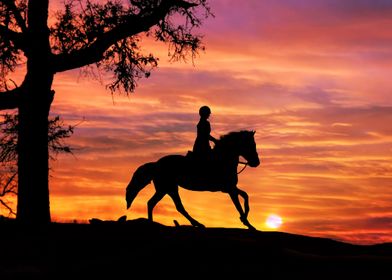 English Rider Cantering