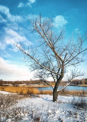 First winter day